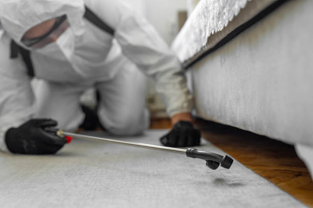 Professional Termite Control technician working in Stockton, MO