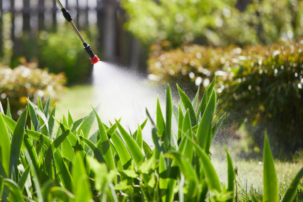 24/7 Emergency Termite Control experts in Stockton, MO