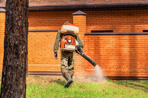 Top rated local Termite Control specialists in Stockton, MO
